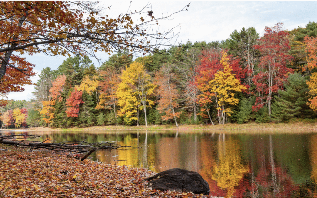 Stay Healthy this Fall with Integrative Medicine