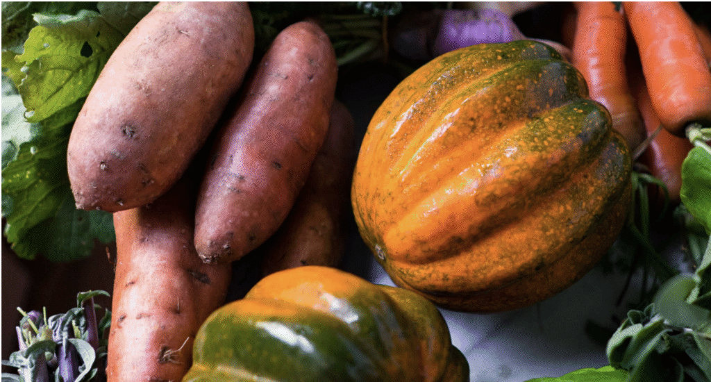 healthy fall veggies